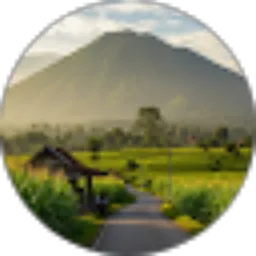 Review From Grace Lumintang