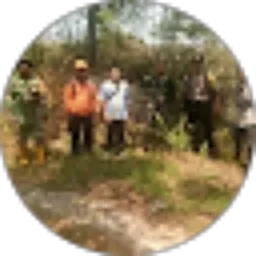 Review From Berto dayak