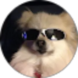 Review From Desty Ignatia