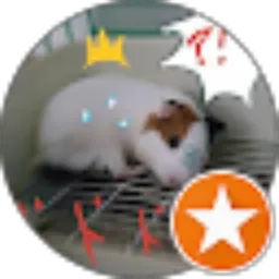 Review From Yuly Soedidjo