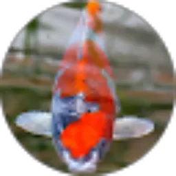 Review From Mahyu Setianjar Pradana