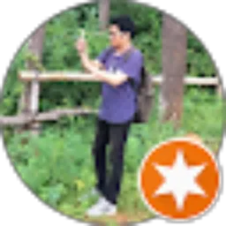 Review From Arie Sapto