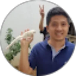 Review From Georgeus Alex