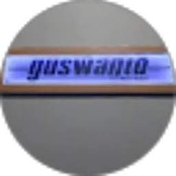 Review From Rudi Guswanto