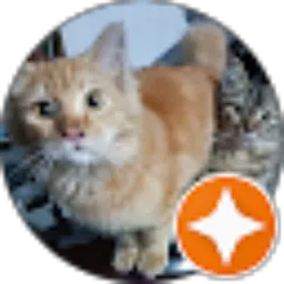 Review From Yana Suryana