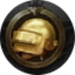 Review From Muhammad Rifki