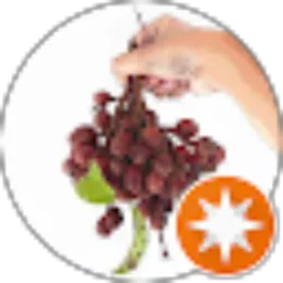 Review From A. Anugrahni