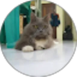 Review From Nuzul Ramadhan