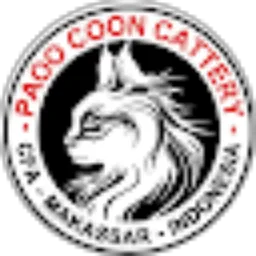 Review From jacksarimat funny cat