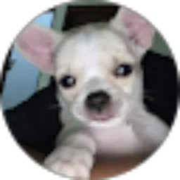 Review From victoria selvi