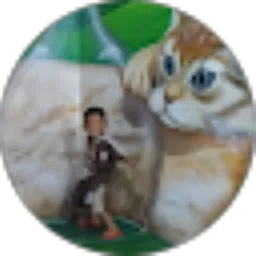 Review From IFHA RAFHA