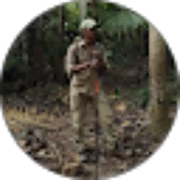 Review From Dwi Suprianto