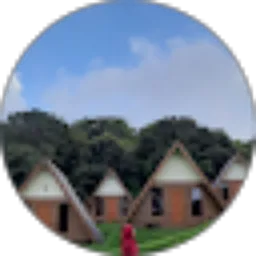 Review From Lia Wardani