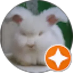 Review From Aditya Nov