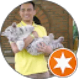 Review From David Tarigan