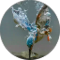 Review From Den Jaka