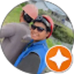 Review From Aulidin Saputra