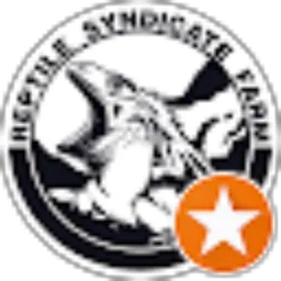 Review From Reptile Syndicate Indonesia