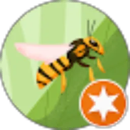 Review From Rifki Umami