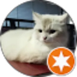 Review From edi subagio