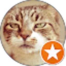 Review From Rahmat Bayu