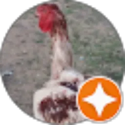 Review From ardjuk kev