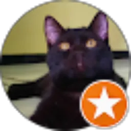 Review From Risa Physio