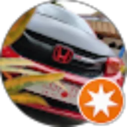 Review From FYP Project