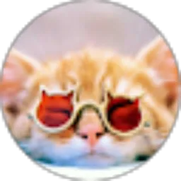 Review From rice caem