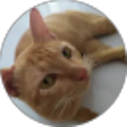 Review From Nurcahyani Sahada