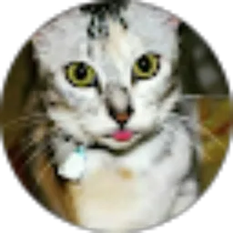 Review From Daffa Abian