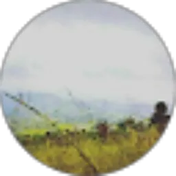 Review From Setyo Rahmanto