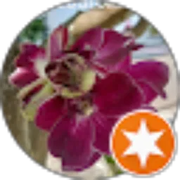 Review From yuli purwanto