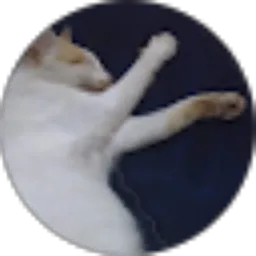 Review From Azis 911