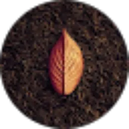 Review From Elfabio 89