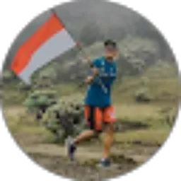 Review From Vincent Pardede