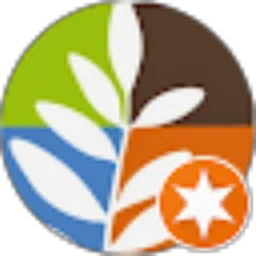 Review From Ndi Widi