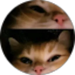 Review From Cahyati Dwi Muliani