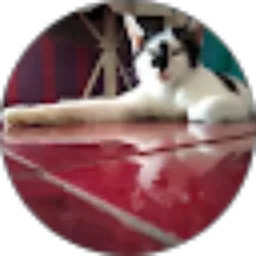 Review From RiAn Mochy