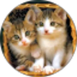 Review From dyah suryani