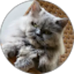 Review From Raja Bebek