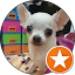 Review From Sula Vania