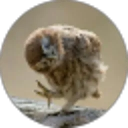 Review From Tanto Polistyawan