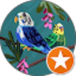 Review From Tommie Sulaiman