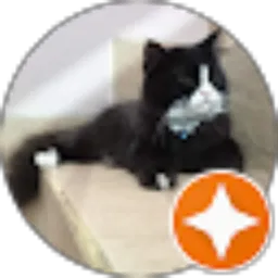 Review From saepul wahyudin