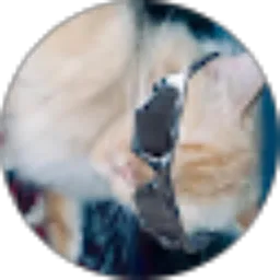 Review From Nurul Fadlia Ruana