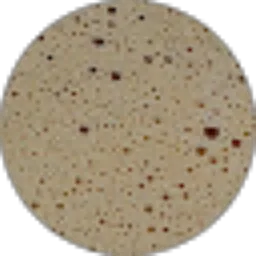 Review From asa kamri