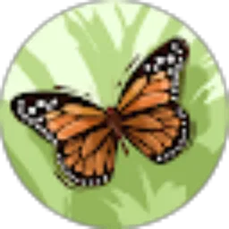 Review From Raka Bayu Pradana