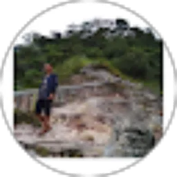 Review From Arnol Dien