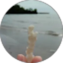 Review From Amira Azari Pratiwi